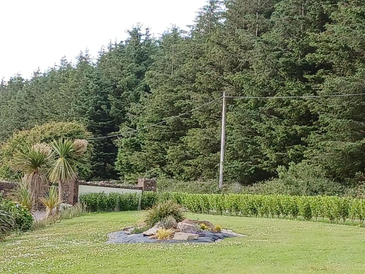 Ashburnum Cottage Бандън Екстериор снимка
